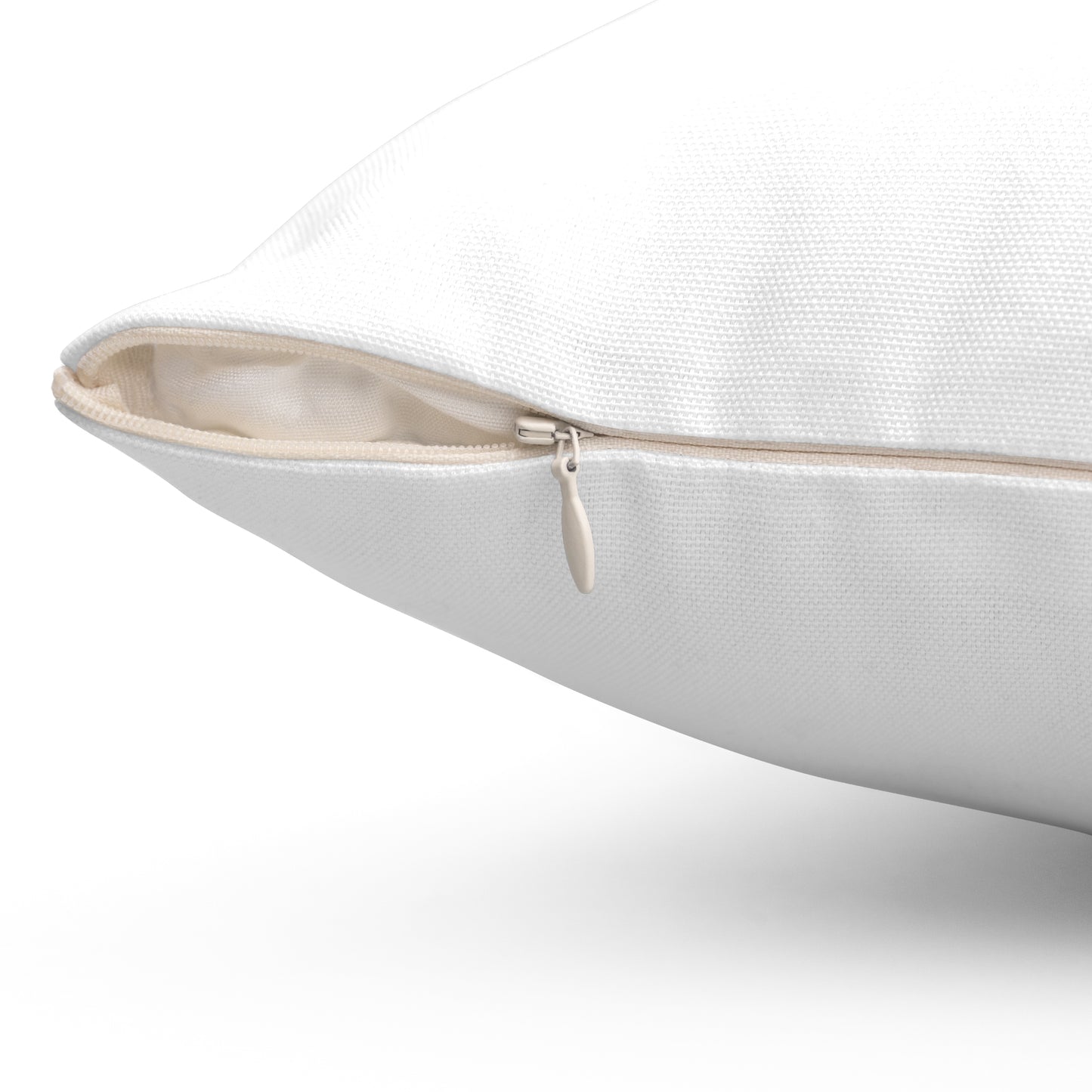 Lucky Baaz Spun Polyester Square Pillow